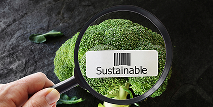 Sustainability Solutions in the Food And Nutrition Industry