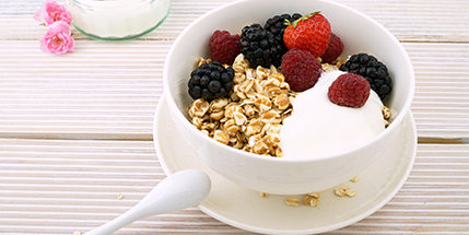 high protein yogurt