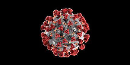 COVID-19 virus