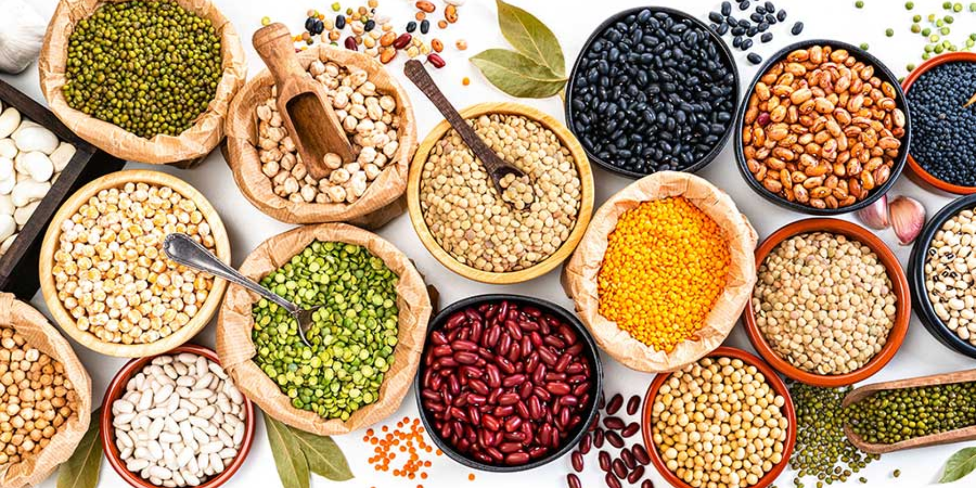 Alternative proteins