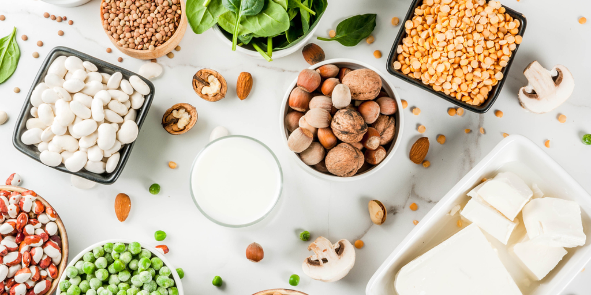 Plant-based and protein alternative in functional foods and beverages in South East Asia