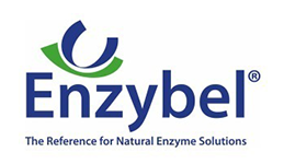 Enzybel