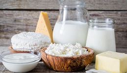 dairy products