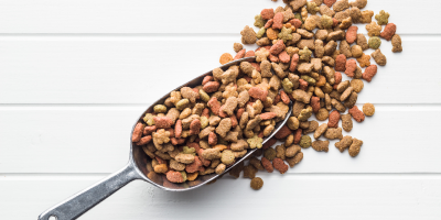 Immune system support ingredients
