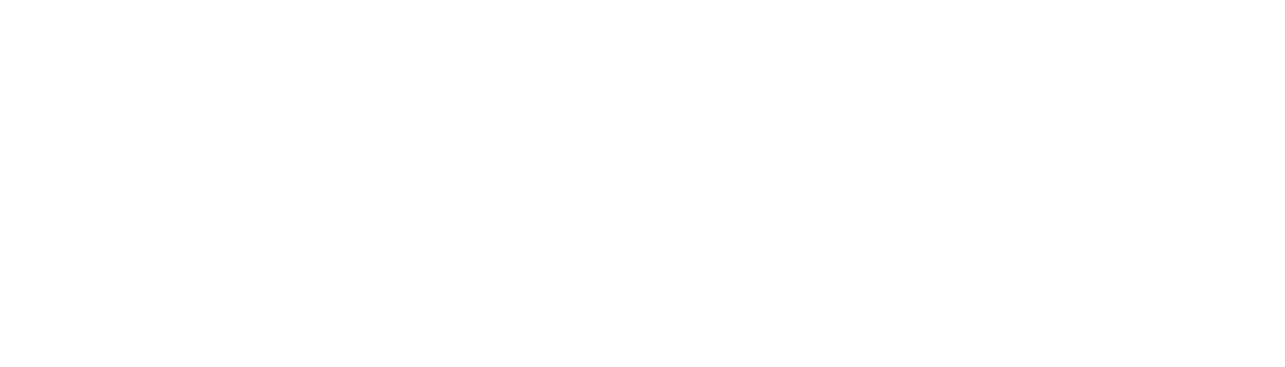 Fi Marketing Services