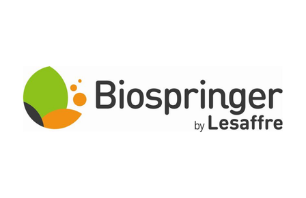 Bio Springer