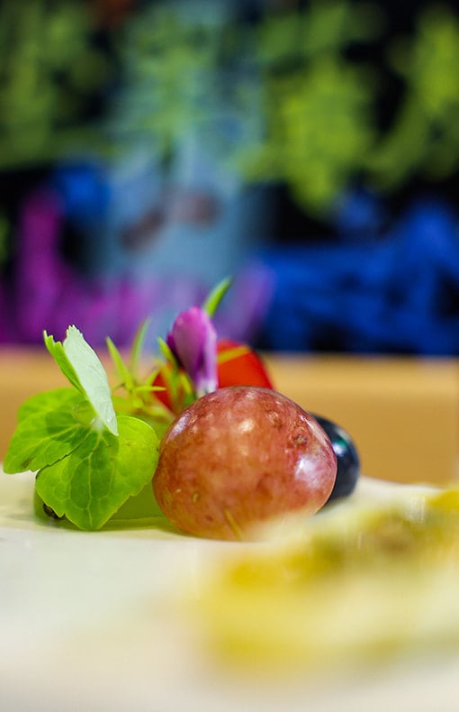 Image of a nutritious and colorful healthy food plate