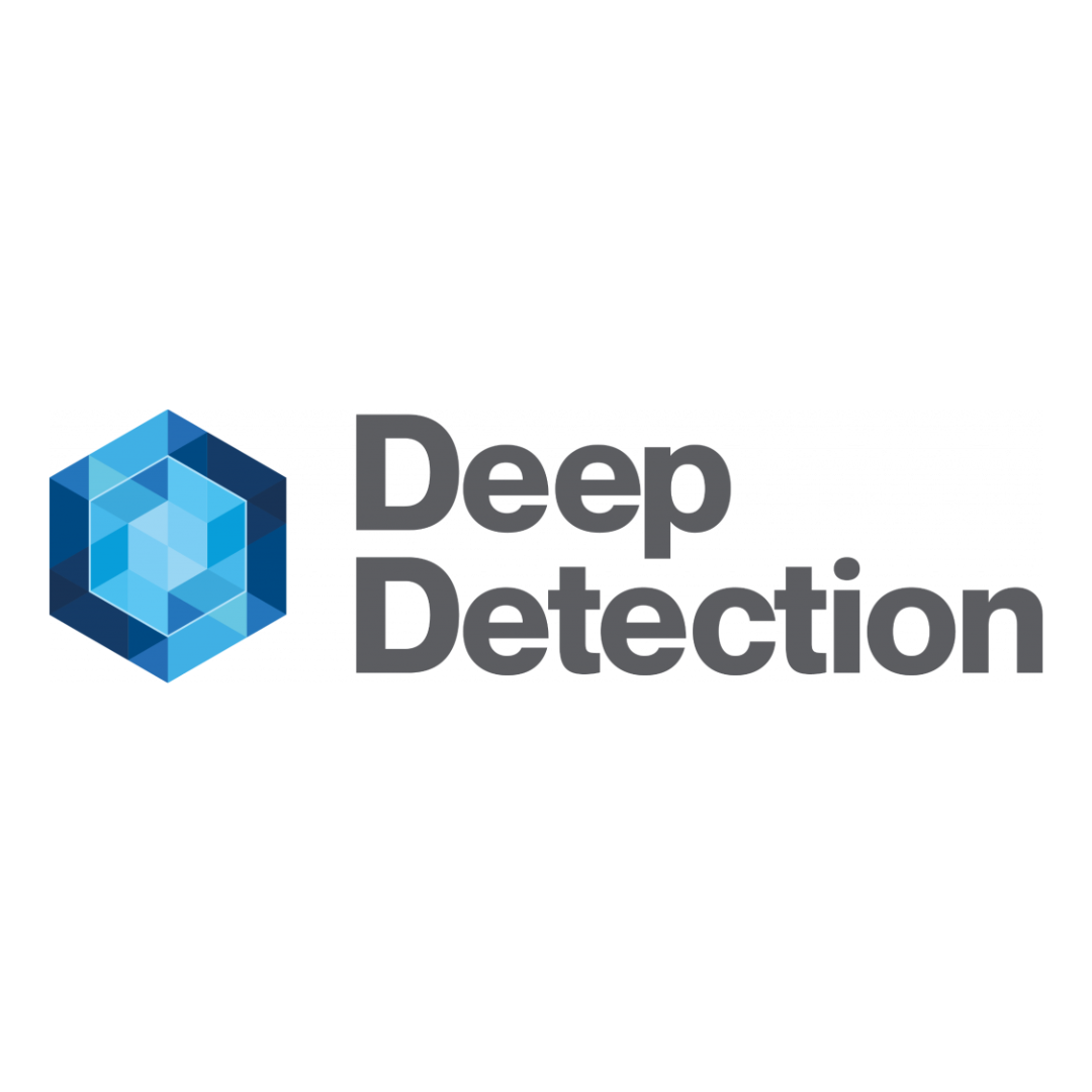 Deep Detection - Most Innovative Service or AI Solution