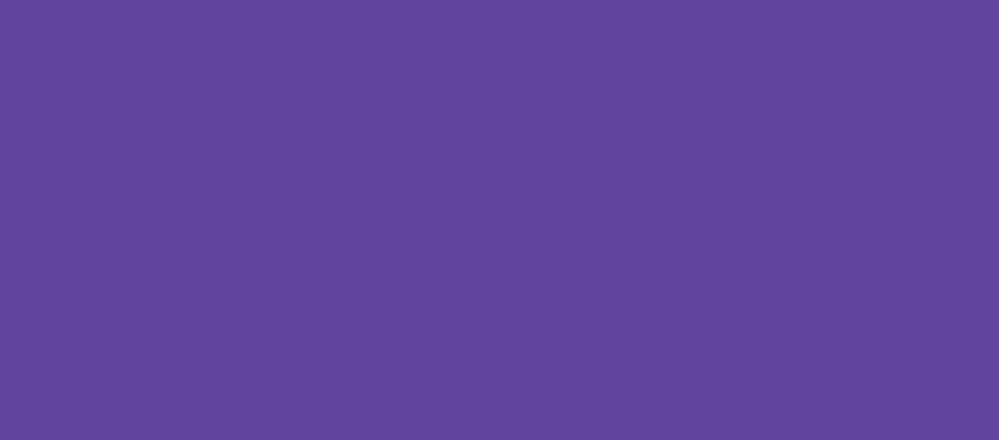 purple rectangle