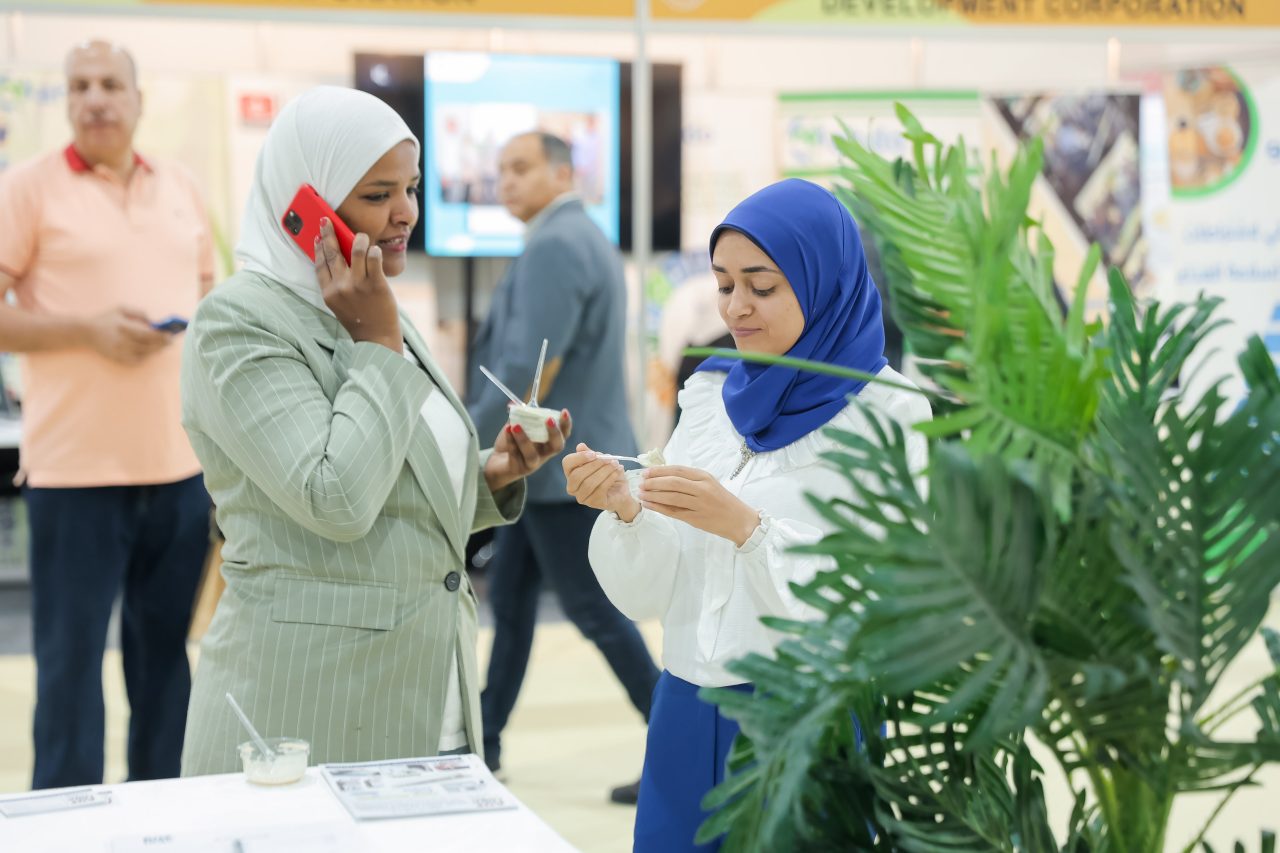 Exhibitor demonstrating on their mobile to an attendee.