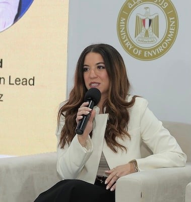 Panellist at Fi Africa