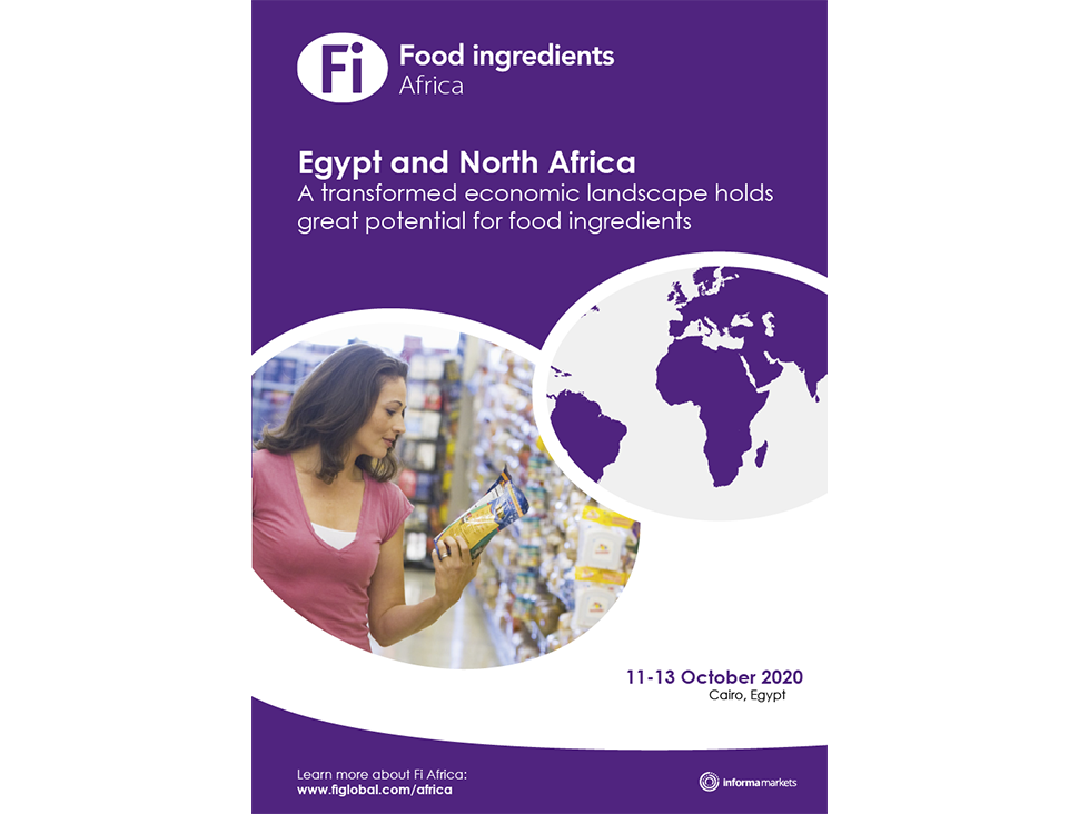 Egypt and North Africa Market Report