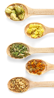 Spoons with different herbs