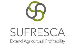 Paragon Pure logo