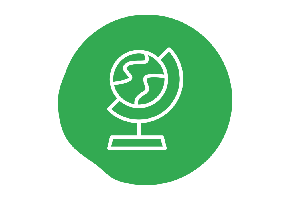 World wide information Icon