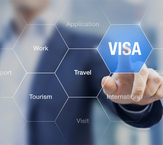Visa Application image