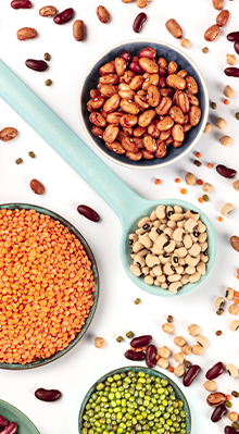 legume selection